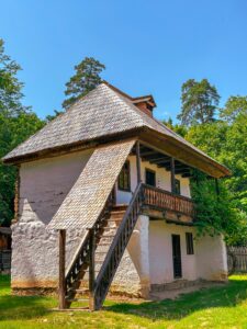 pexels-deyush-18003603